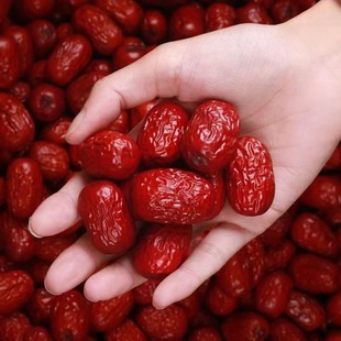 �½��خa��Ǽ�җ��ɹ���ʳС���t��100�˴󗗻җ���ʳ����