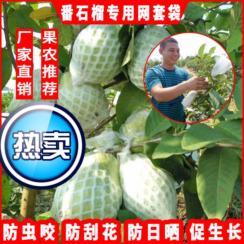 水果保护套网包番石榴芭乐网套袋防虫袋泡沫包装袋一体专用袋网袋