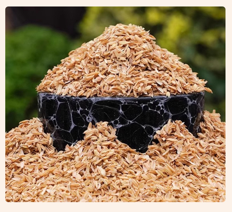 9e7b3cf6-2f34-4317-be1a-9079f7e579c6.jpe