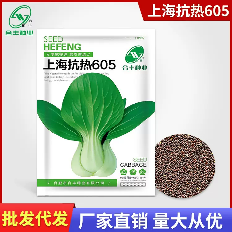 上海抗热605青菜种子 青梗菜种籽苏州青上海青小油菜蔬菜种孑批发