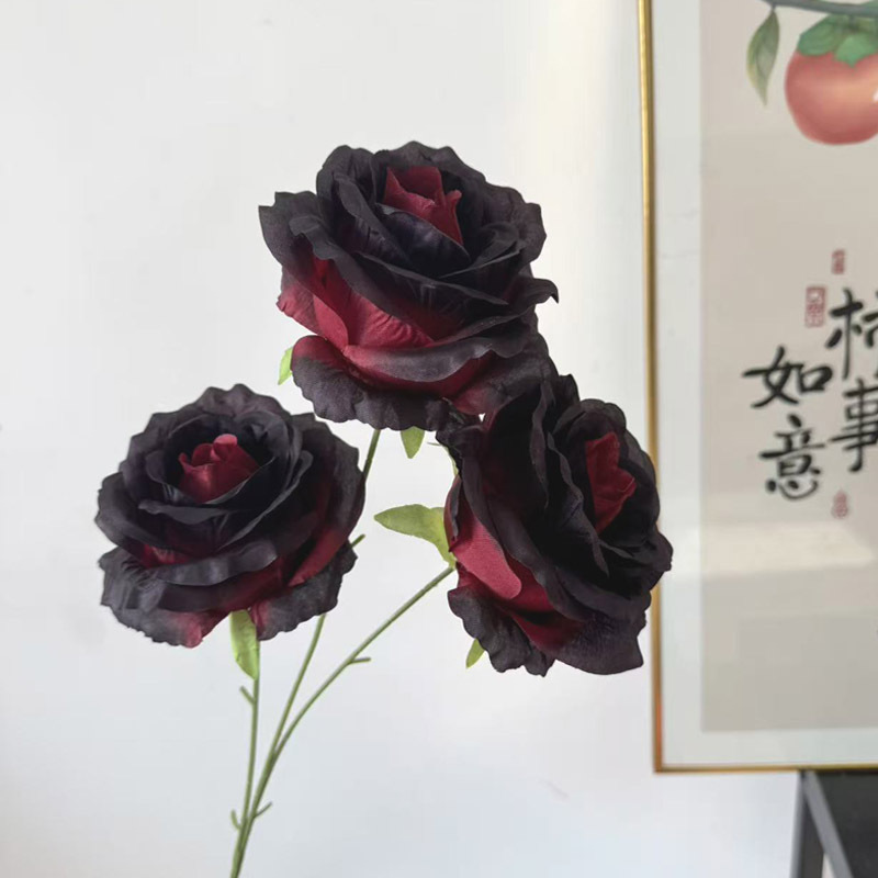 검붉은색 대형 장미
