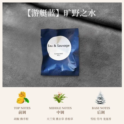 Car Air Vent Car Perfume Aromatherapy - blue-scented-tablet-wilderness-water-single-tablet-diffuser-not-included