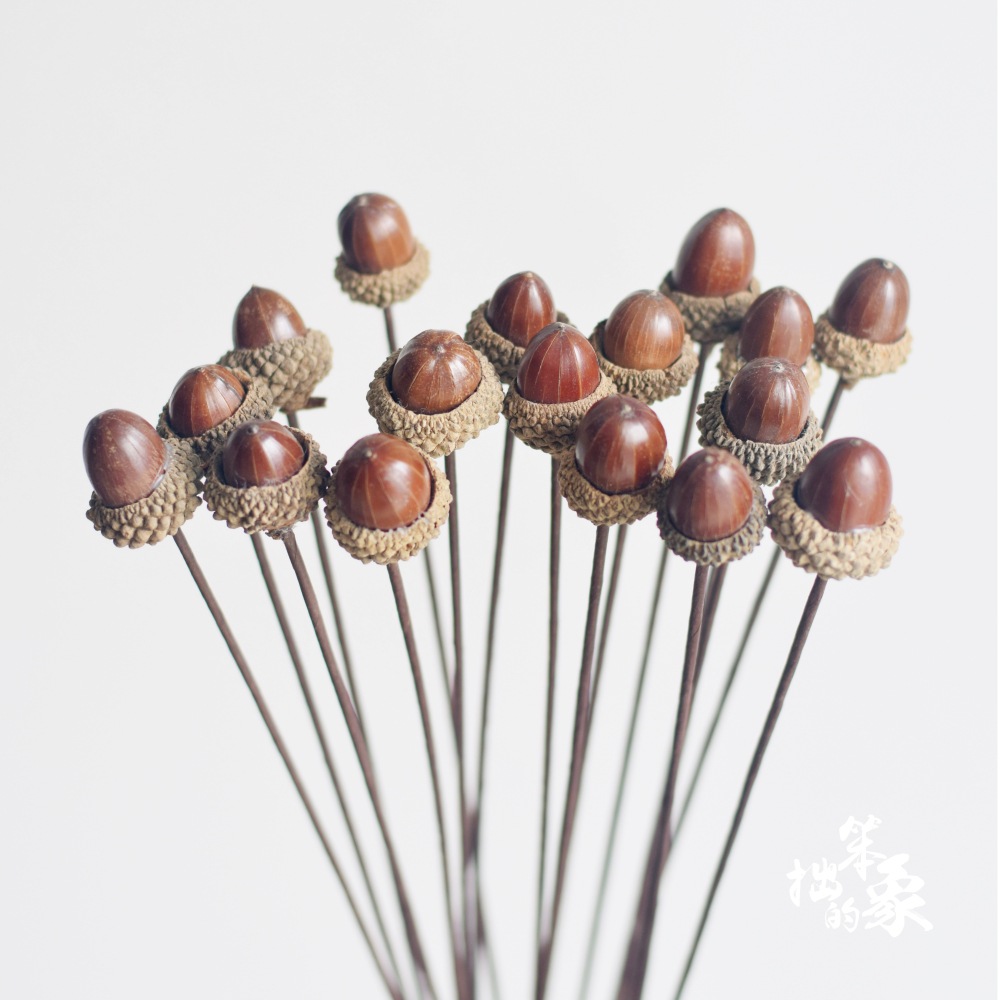 森系天然ドングリの飾り手作りのドライフラワーのペンダント