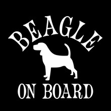 ��óBeagle on board��ֽ����С��Ȯ���� ����С���ﹷ��ֽ