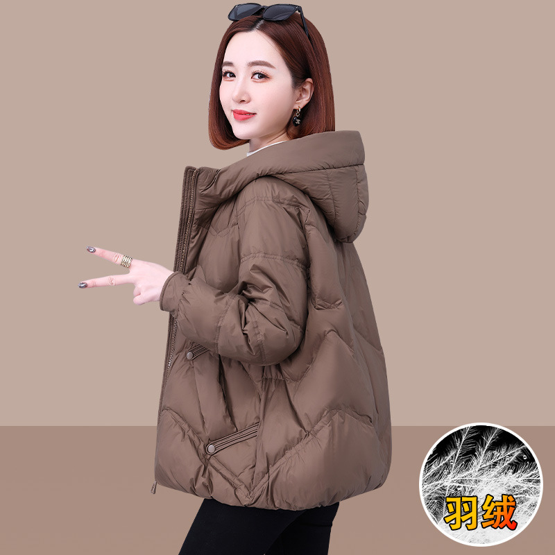 갈색