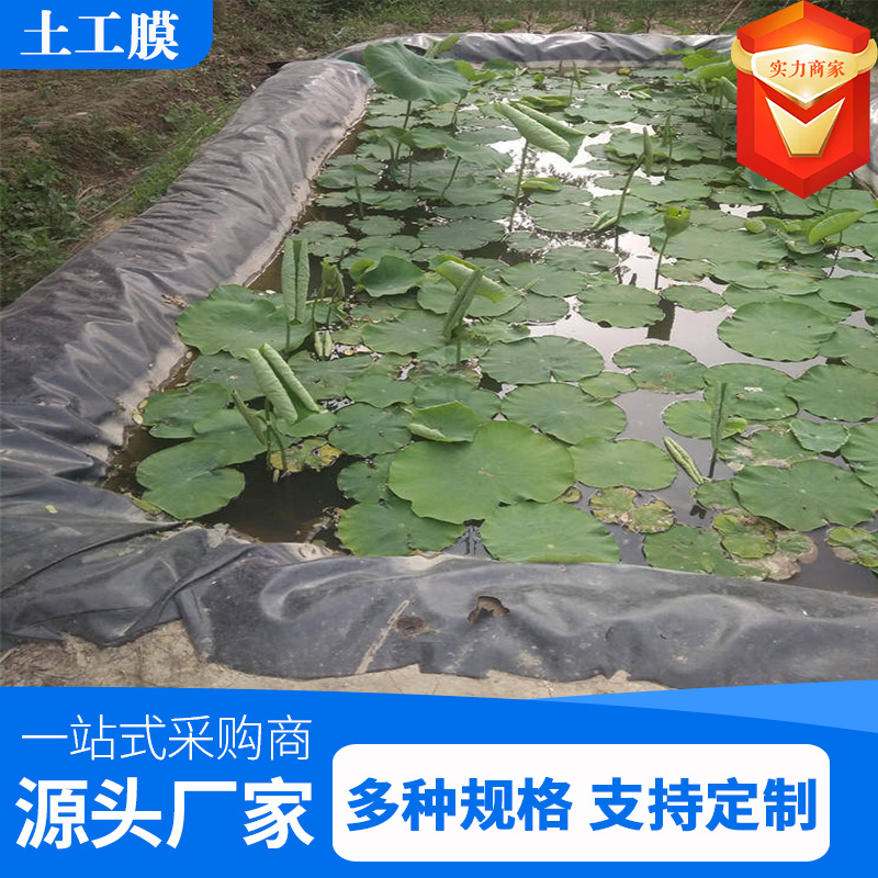 土工膜0.5mm加厚鱼塘藕池虾池养殖防水土工布防渗漏水hdpe土工膜