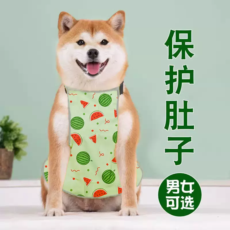 宠物狗狗肚兜柯基犬护肚子防着凉衣服四季款保暖法斗防水防脏肚子