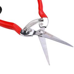 Taiwan Sakawada 911 stainless steel thin fruit shears, fruit and flower shears, grape scissors for picking flowers and fruits, serrated heads
