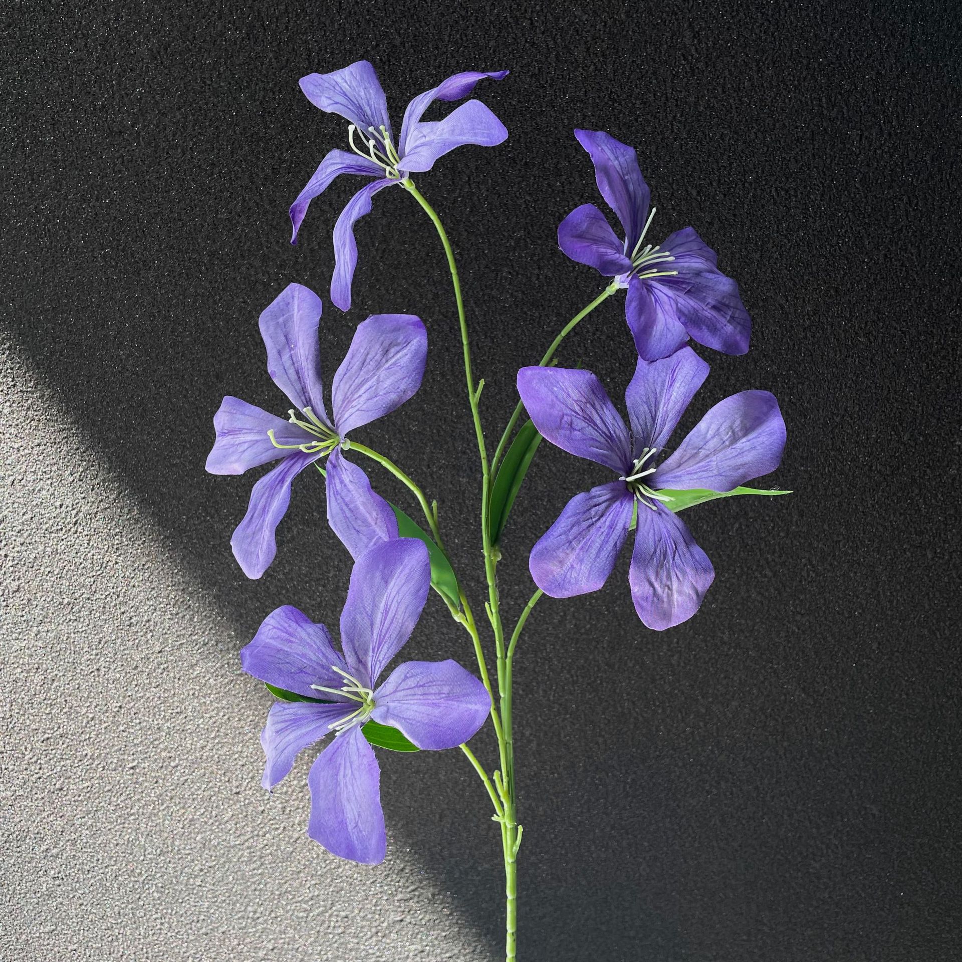보라