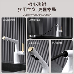 白色抽拉式面盆龍頭衛生間洗手池洗臉盆浴室櫃升降冷熱兩用水龍頭