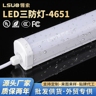 Southeast Asia export led waterproof three-proof lamp outdoor cold storage workshop factory bathhouse farm long tube 40W