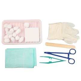 其他口腔护理;口腔护理套装;假牙清洁