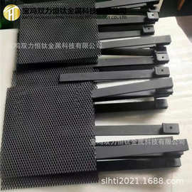 双力恒钛厂家生产 钛电极 电解水用钌铱钛阳极网 钛电极规格齐全