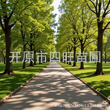 2026�|���ͺ��������ʘ� ���~���~��  ���ʘ�С�� �l��G����