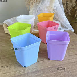 普通小方盆 塑料多肉小花盆彩色小黑方 小白方迷你植物花卉育苗盆