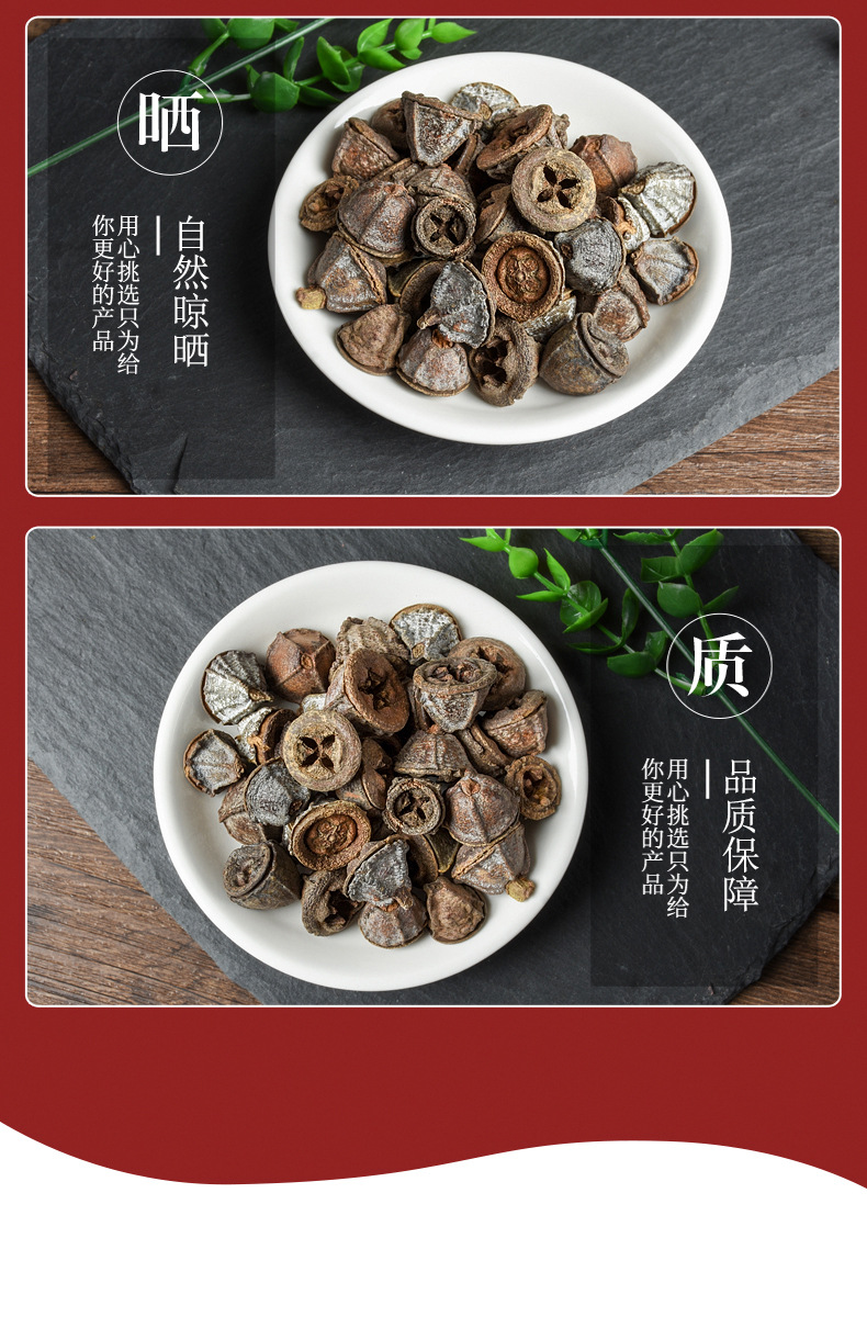 Yi Kou Zhong (Eucalyptus tereticornis) — Dried Herbal Fruit for Traditional Decoctions quality and texture