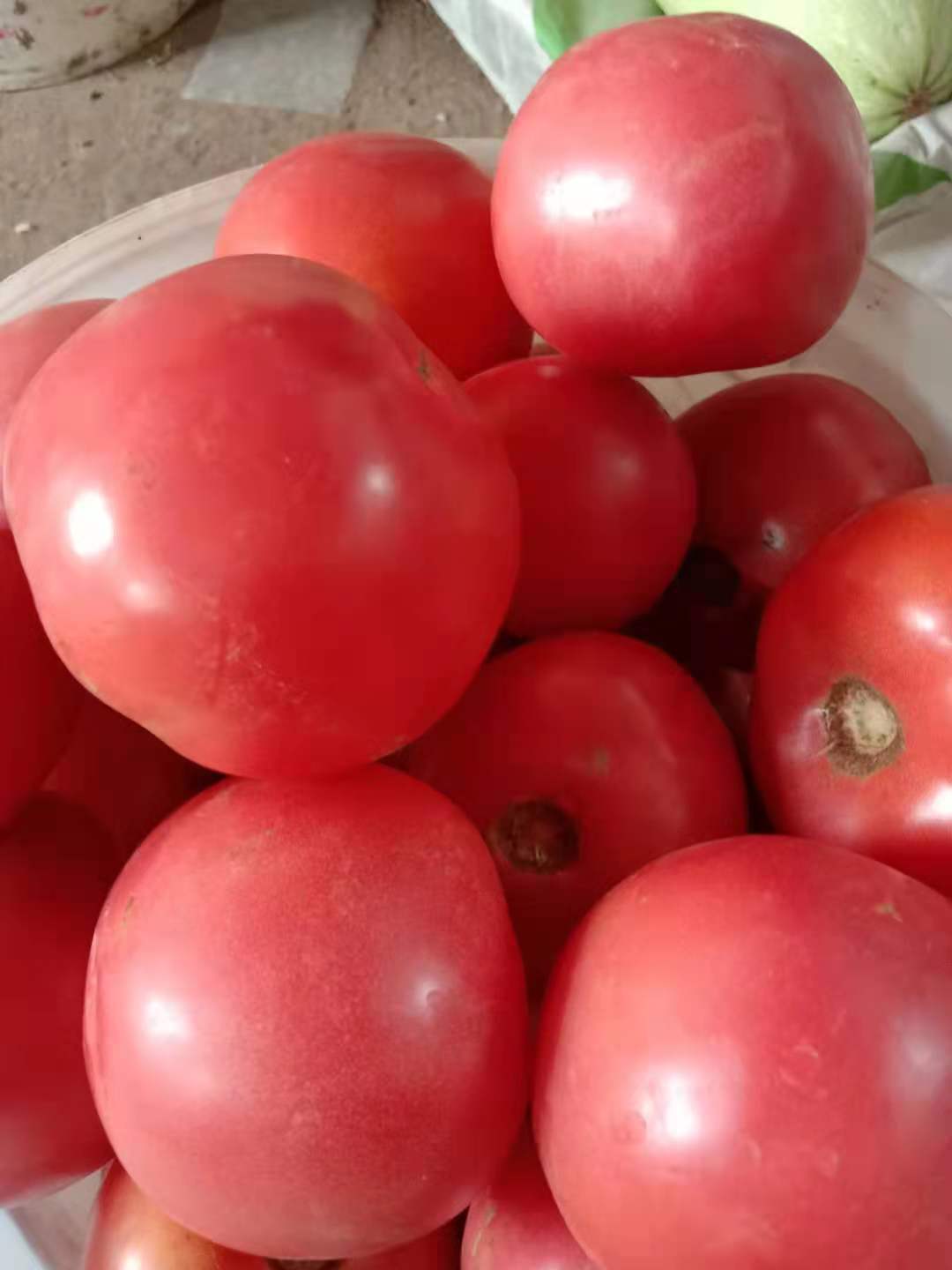 微信图片_20210618074954毛粉802