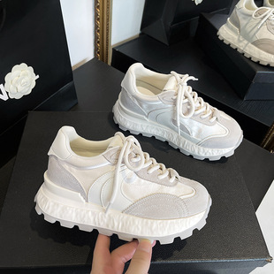 ��ӖЬŮ2026�¿�＾͸�����e�\��Ь��ŮЬ�͹�У�@�����Ь