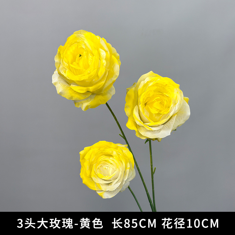 큰 장미 3송이