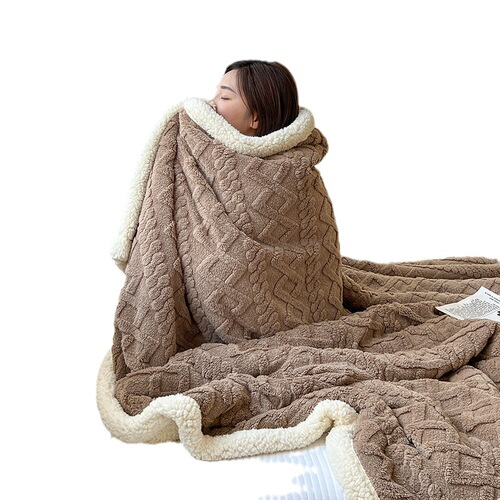 Amazon Lamb's Down Blanket Winter Thickened Warm Blanket Nap Blanket Taffeta Blanket Flannel Solid Color Cover Blanket