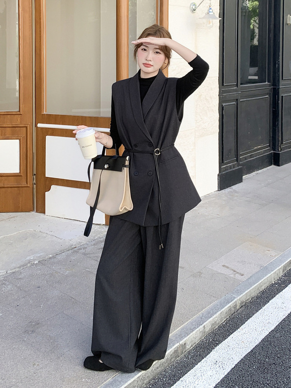 老钱风高级感西装马甲套装女秋季2025年新款通勤气质阔腿裤三件套|undefined