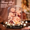 Champagne Rose [with display cover + warm lamp]