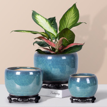 �����մɴ�̖�����������̨�m���G�}���m�����m��������ֱ�l���S