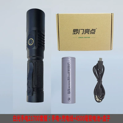Dust Detection, Red Light, Rechargeable, Strong: UV fənərlər - t20-white-light-package-including-4500-mah-21700-battery