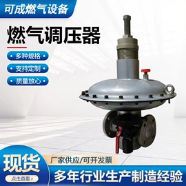 燃气设备;减压阀;过滤器