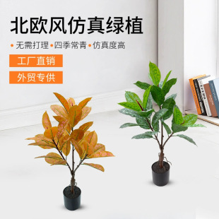 �����y�߸��~���辰�f��������ֲ��٘�����̈����������b�