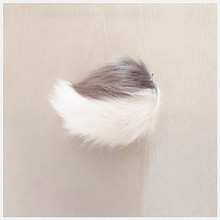 �������������β��cosë�q��β���Ɍ��b����̨���ݫFβ ƴ�ӿ�