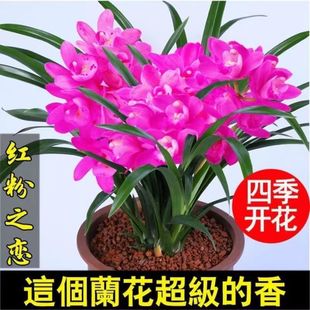 ����Ʒ�m�����ͺ��ߙn�m����ī�m��ڝ������m���҃ȿ͏d���B����