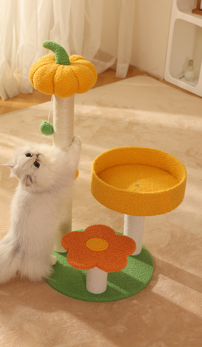 Cadre rampant pour animaux de compagnie Nid de citrouille Plateforme de saut Pilier Petit griffoir Jouet pour chat_voghion.com