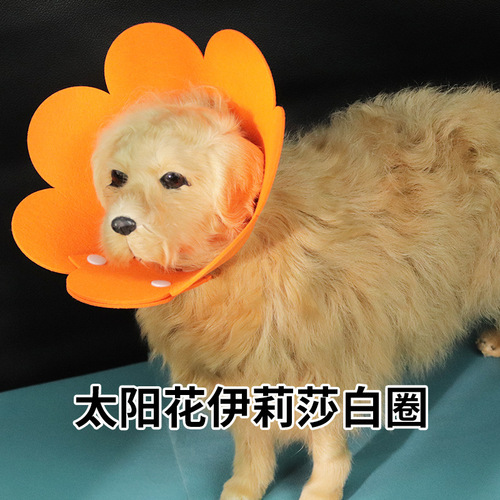 Elizabethan collar manufacturer wholesale anti-licking and biting sunflower cat collar adjustable clean beauty protective cover