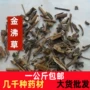 一公斤正品金佛草中药材