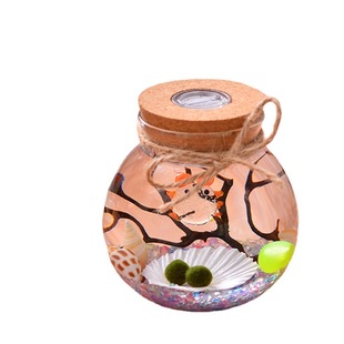 Wholesale Seaweed Ball Ecological Bottle with Light Micro Landscape Ecological Bottle Cork with Light Round Glass Sealed Jar