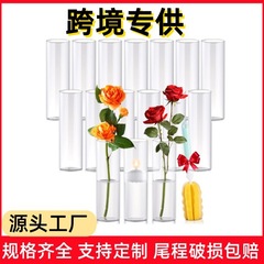 亚马逊同款花瓶高硼硅直筒花瓶桌面装饰布置氛围感客厅入户门摆件