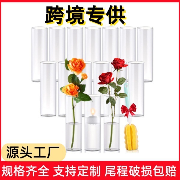 亚马逊同款花瓶高硼硅直筒花瓶桌面装饰布置氛围感客厅入户门摆件|undefined