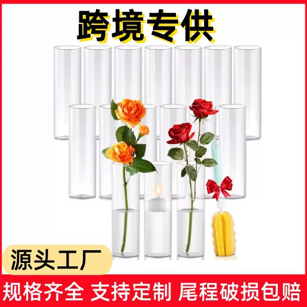 亚马逊同款花瓶高硼硅直筒花瓶桌面装饰布置氛围感客厅入户门摆件
