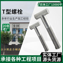 T����˨���B����ÈA�^���^�ۼ��ݽz�_�ּ����T�Ͷ��ֽz��˨