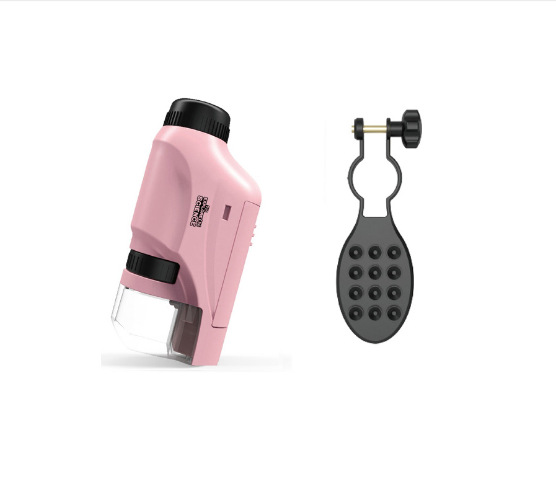 핑크 (영어) 브래킷