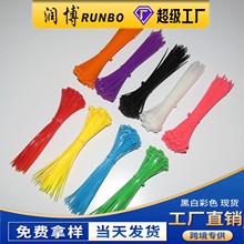 工厂批发自锁式尼龙扎带黑白3*100实宽2.5mm100条装彩色扎带阻燃