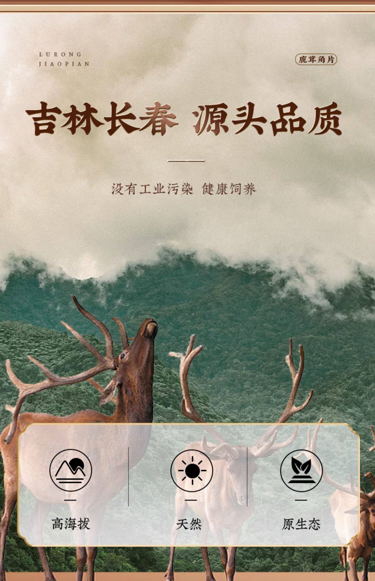 Deer Antler Slices Lu Rong 鹿茸 Premium Grade Sika Deer Blood Slice for Tea and Wine Infusion 250g Jar quality and texture