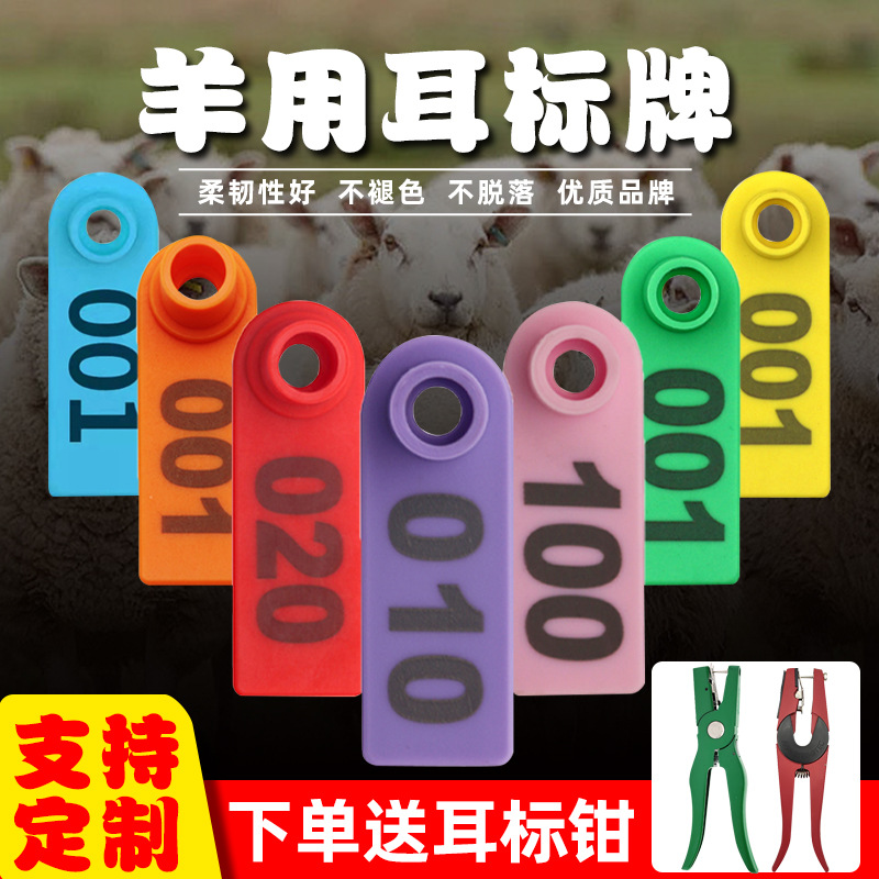 Ovejas etiqueta siete-color PE anti-caída de oído número placa veterinaria oído etiqueta alicates conjunto completo de equipo de identificación de cría de animales láser con palabras