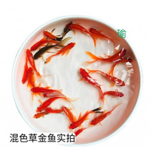 С���~���^�p�~��ˮ�ͻ���B�~��ˮ�t���\�����~С���~���~���~