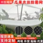 农用网孔定制果园防鸟网