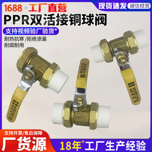 �S�����l���y �S�~�Ӻ�25���y 1��2�Ƚz�~���y �_�P���y