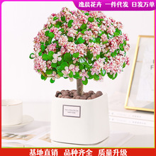 ��֦���~�����Ϙ�����ˮ��ֲ���҃Ȼ��k���ҾGֲ���B�����՚�