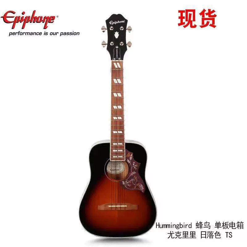 EPIPHONE Humming Bird EJ200SCE Hummingbird Pro Hummingbird Facing Single Box Wood Guitar
