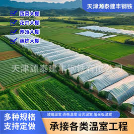 厂家定制智能玻璃温室棚连栋温室骨架农业种植育苗温室大棚工程